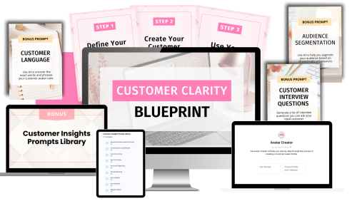 CustomerClarityBlueprint