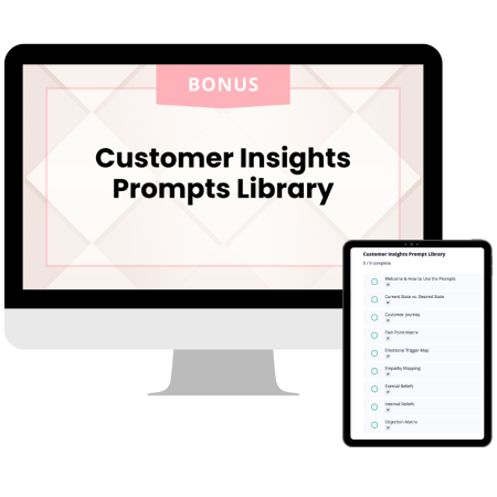 CustomerInsightsPrompts